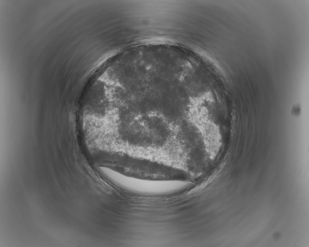 X0000116871305201002021119