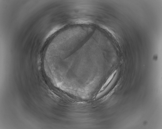 X0000116871306201002021119