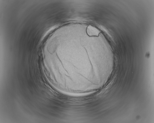 X0000116871307201002021119