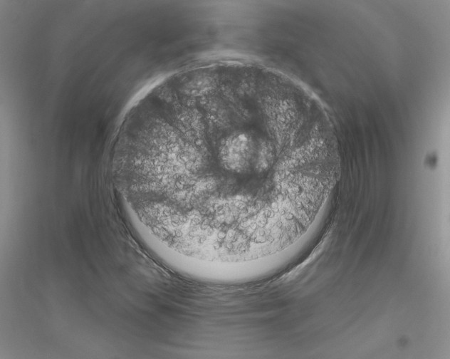 X0000116871309201002021119