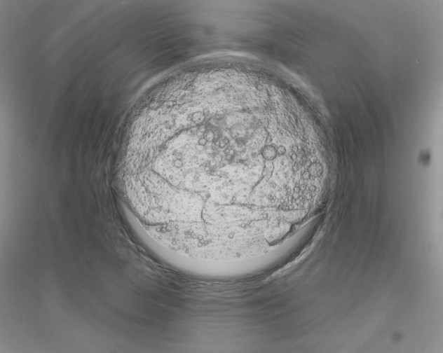X0000116871313201002021119