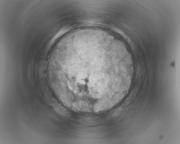 X0000116871314201002021119
