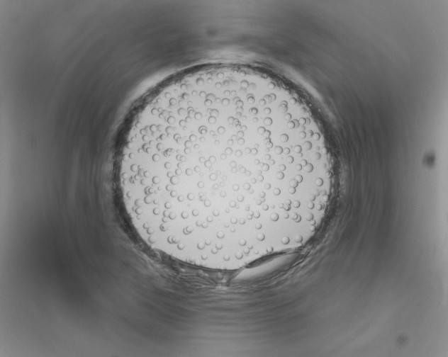X0000116871315201002021119