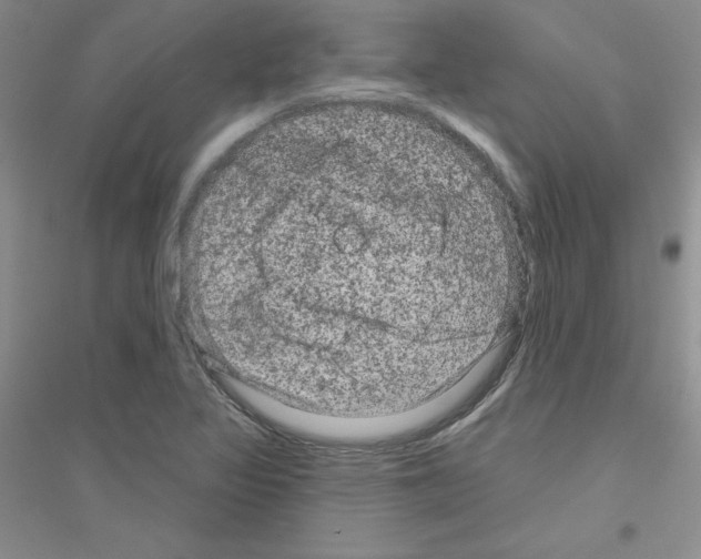 X0000116871317201002021119