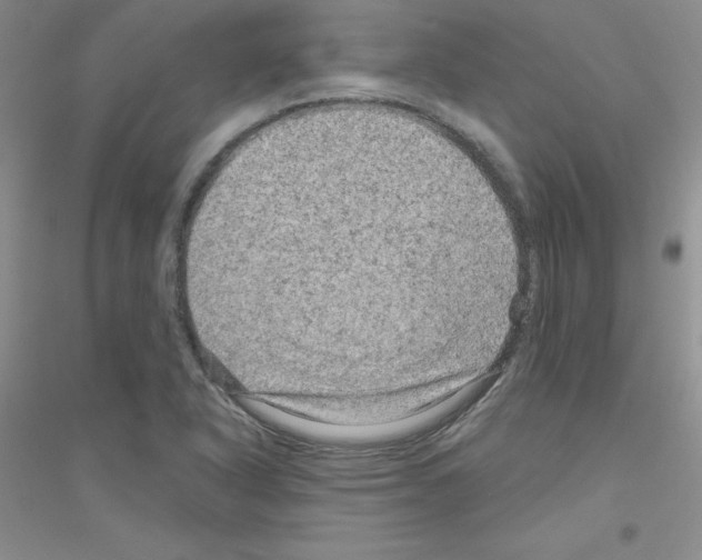 X0000116871318201002021119