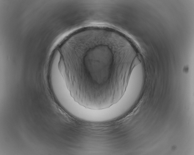 X0000116871319201002021119