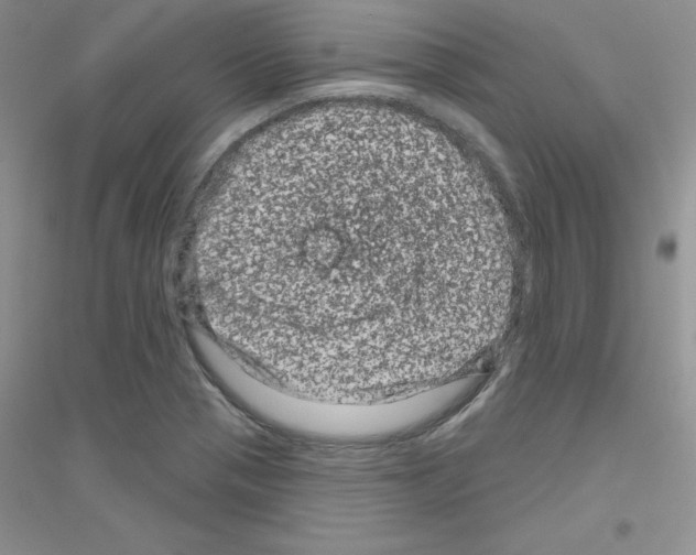 X0000116871321201002021119