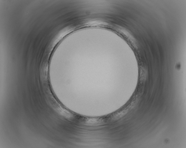 X0000116871322201002021119