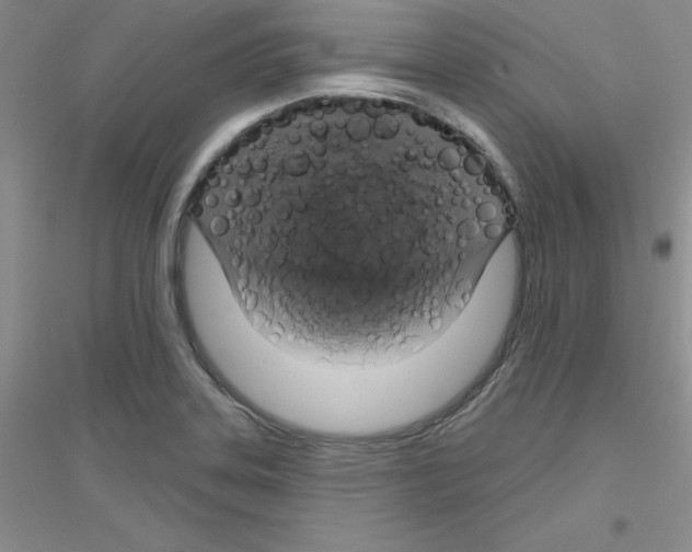 X0000116871323201002021119