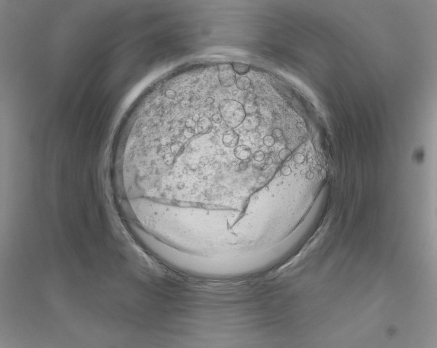 X0000116871325201002021119