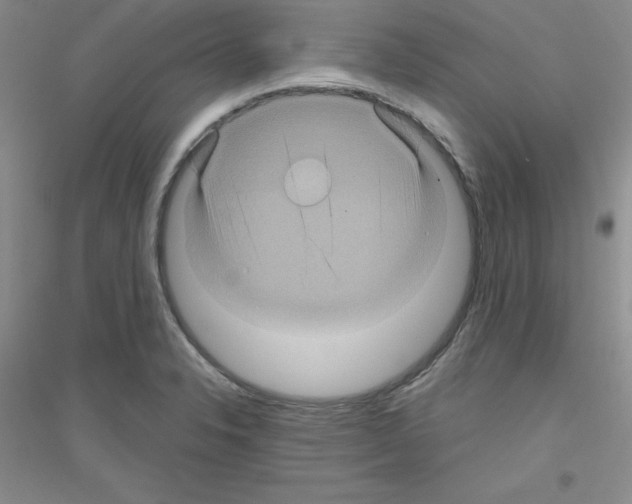 X0000116871326201002021119