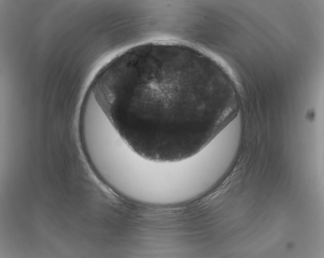 X0000116871327201002021119