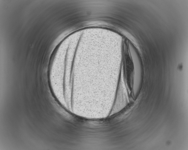 X0000116871330201002021119