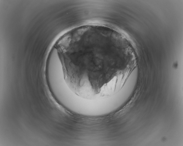 X0000116871331201002021119