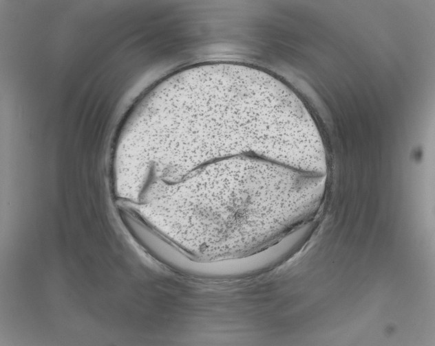 X0000116871333201002021119