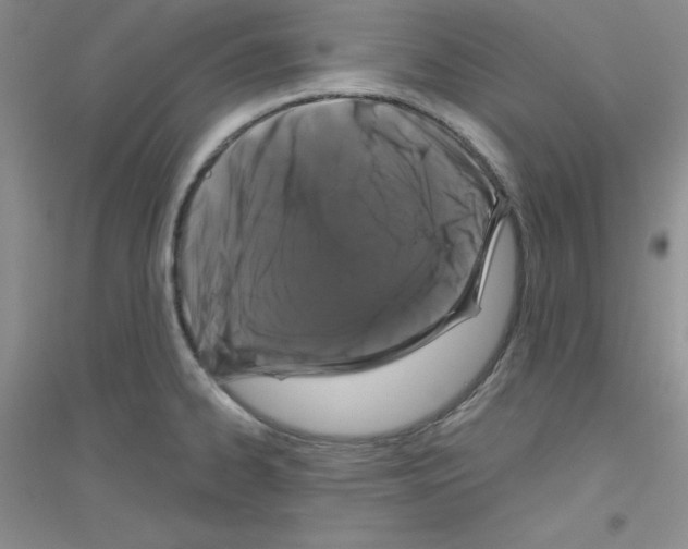 X0000116871334201002021119