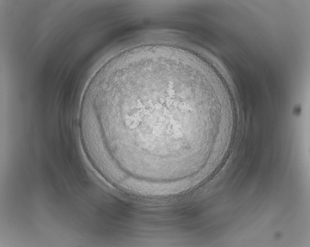 X0000116871338201002021119