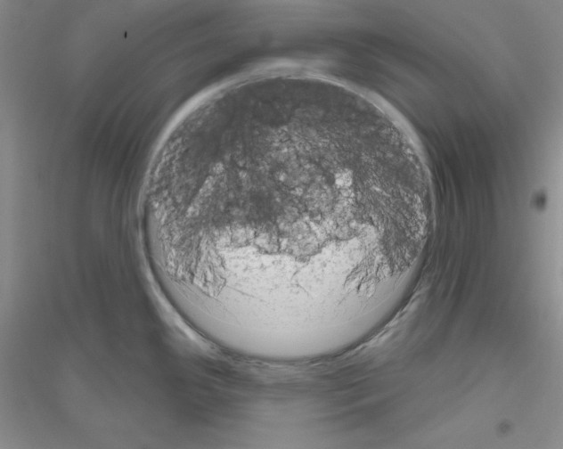 X0000116871341201002021119