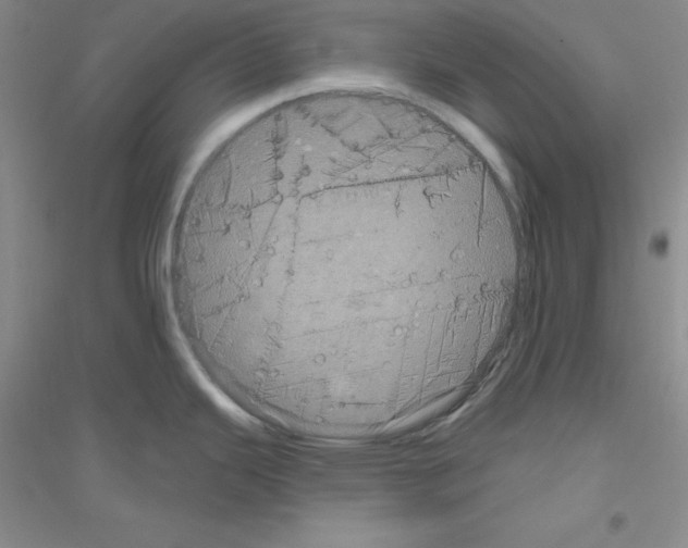 X0000116871343201002021119