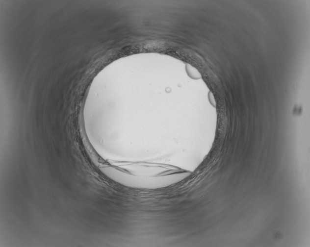 X0000116871345201002021119