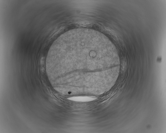 X0000116871346201002021119