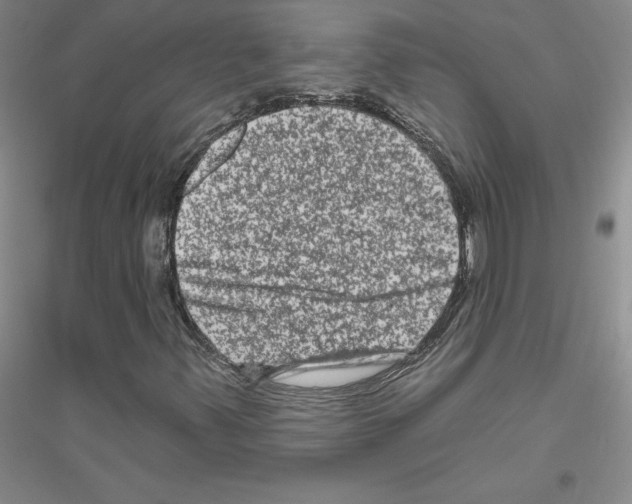 X0000116871347201002021118