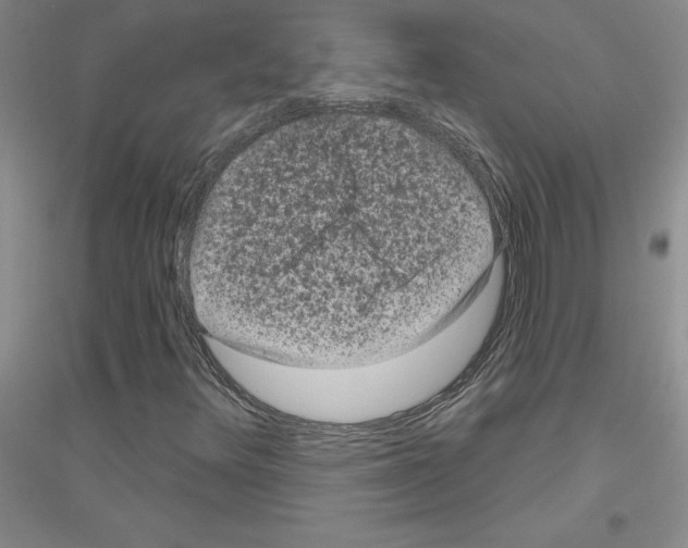 X0000116871348201002021118