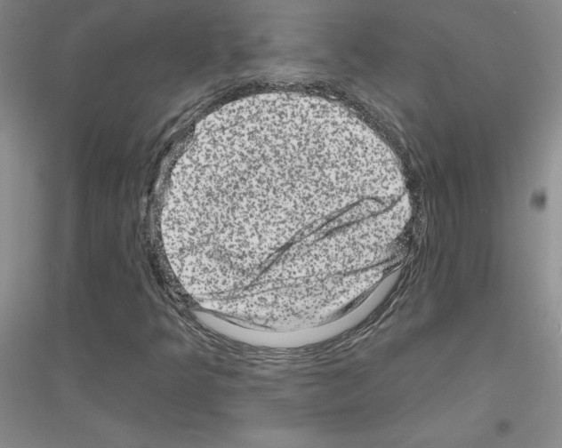 X0000116871349201002021118