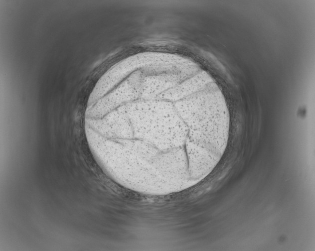X0000116871350201002021118