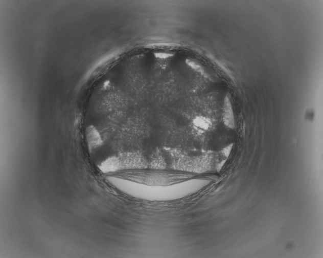 X0000116871351201002021118