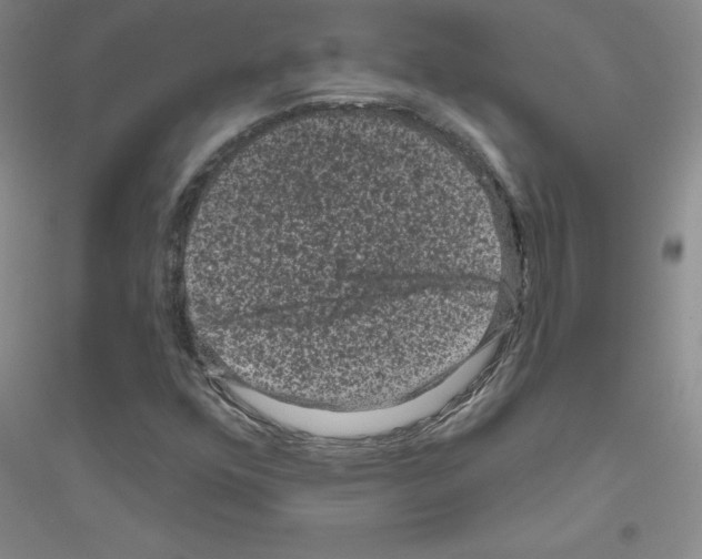 X0000116871352201002021118