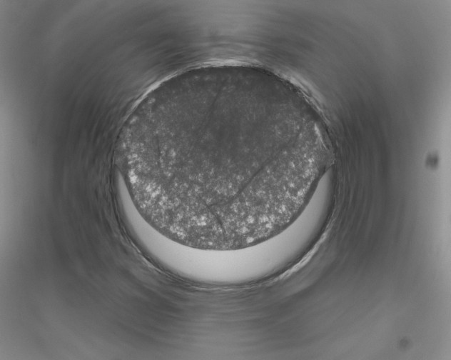 X0000116871353201002021118