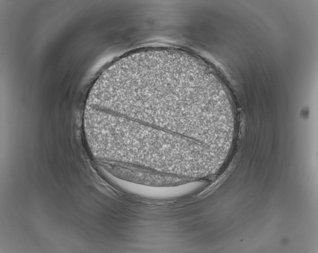 X0000116871355201002021118