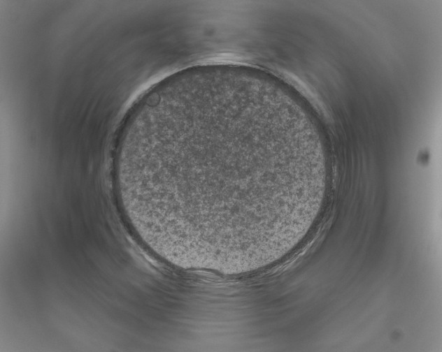 X0000116871356201002021118