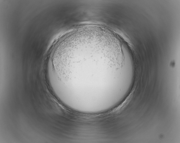 X0000116871357201002021118