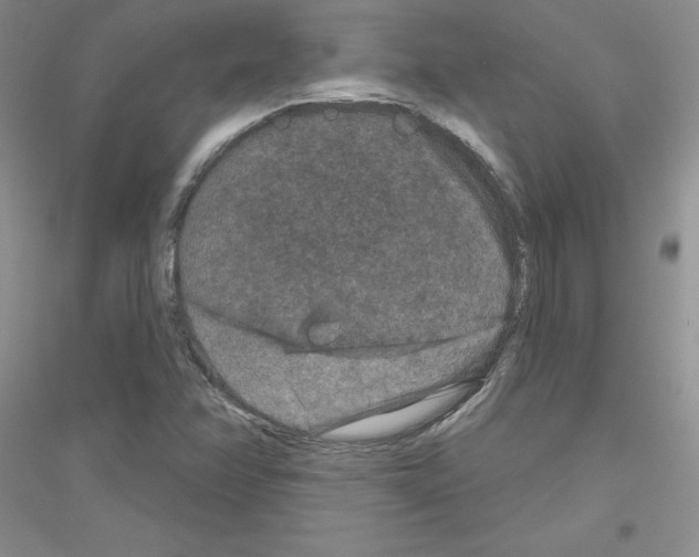 X0000116871358201002021118