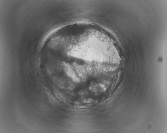 X0000116871359201002021118