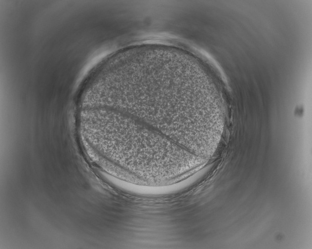 X0000116871360201002021118