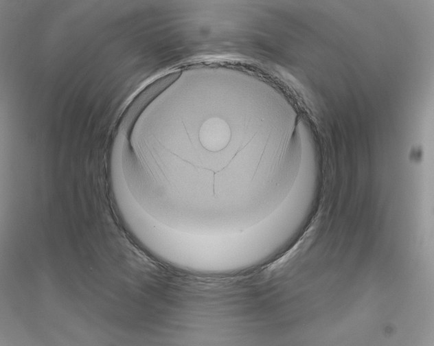 X0000116871361201002021118