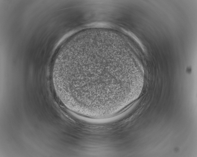 X0000116871364201002021118