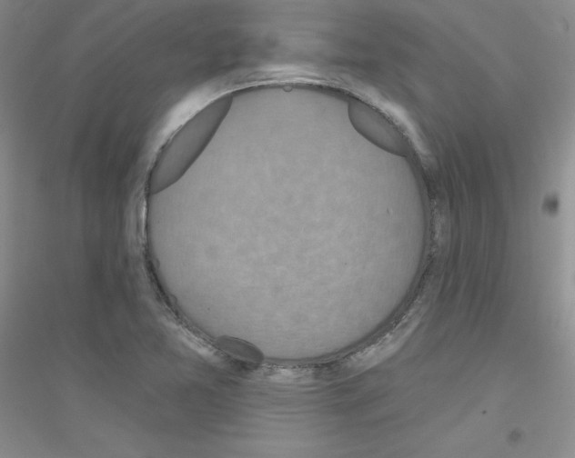 X0000116871365201002021118