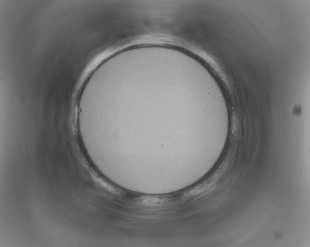 X0000116871366201002021118