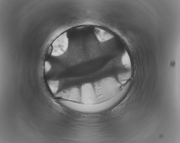 X0000116871367201002021118