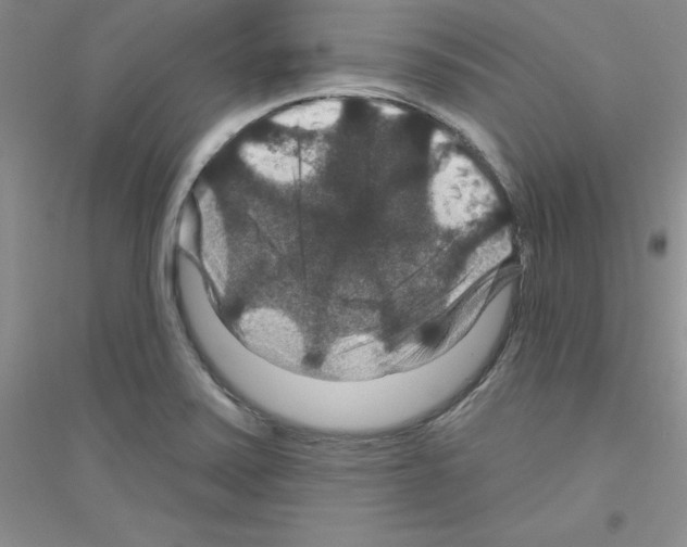 X0000116871371201002021118