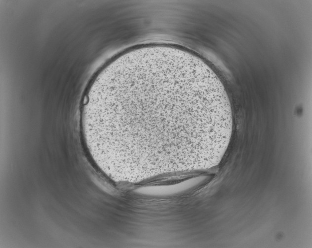 X0000116871372201002021118