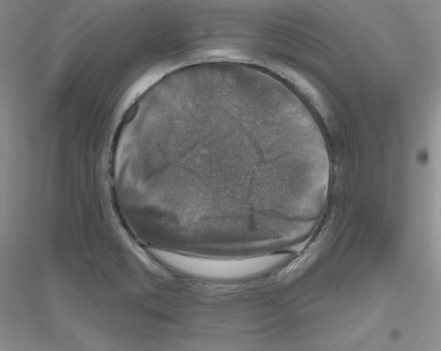 X0000116871373201002021118