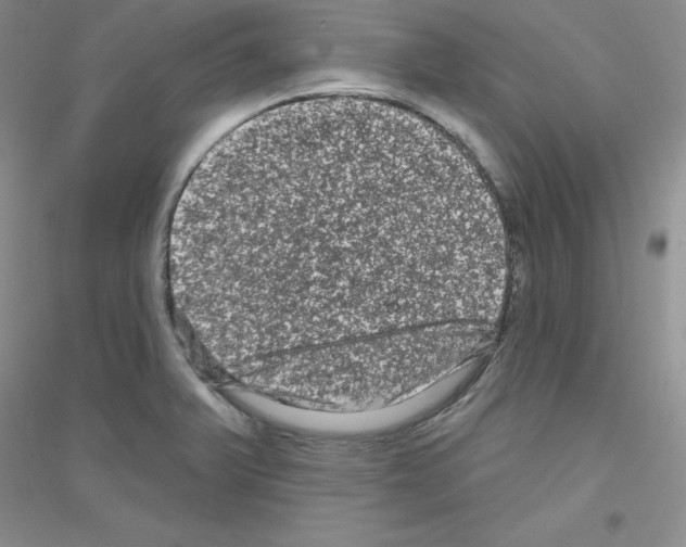 X0000116871375201002021118