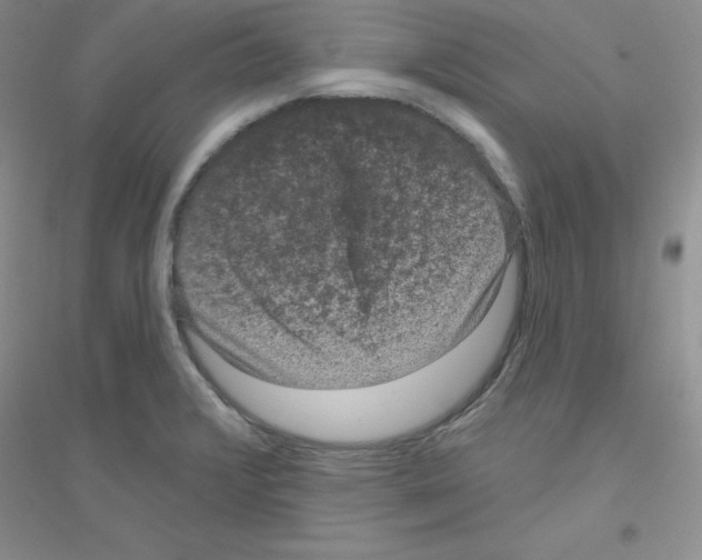 X0000116871376201002021118