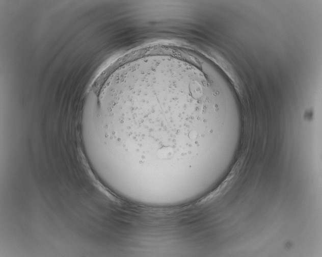 X0000116871377201002021118