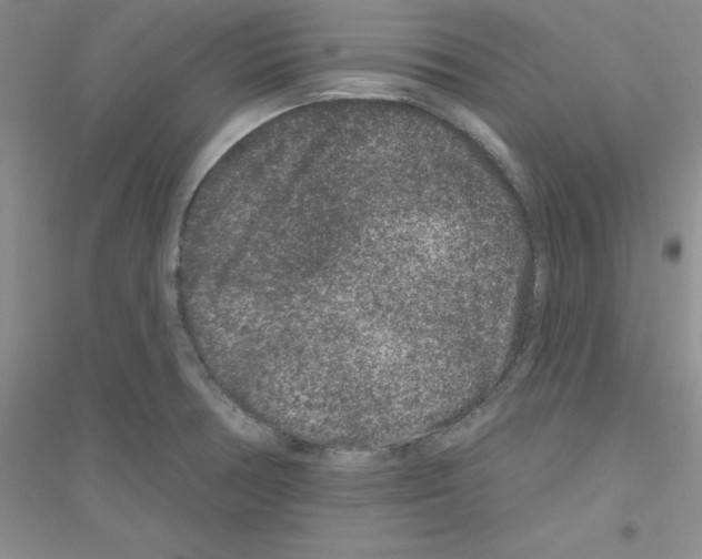 X0000116871378201002021118